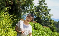 怪物史莱克3插曲